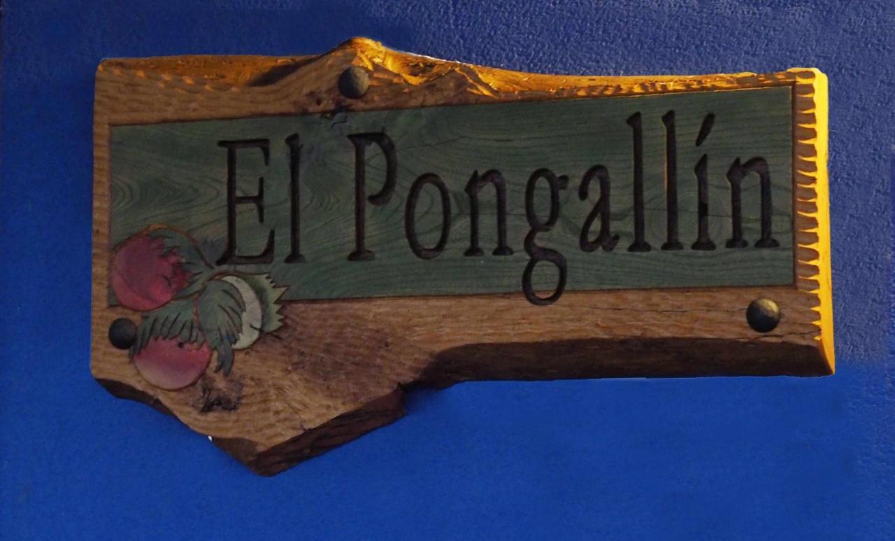 El Pongallin Ideal Para Familias V Vacacional 268 Sevares エクステリア 写真
